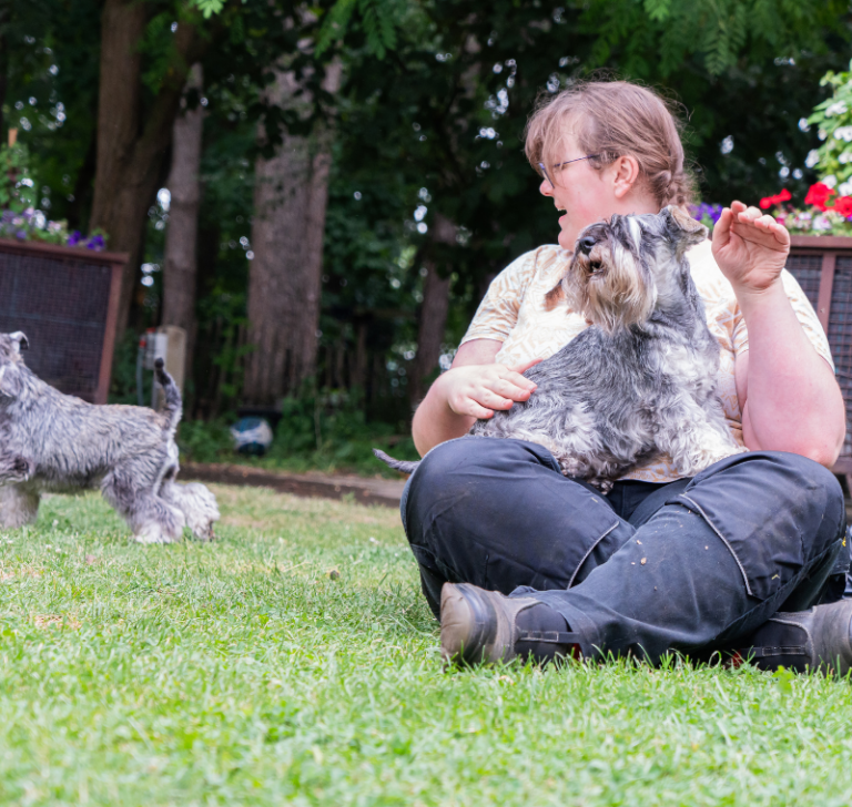 Knuffelen met de honden