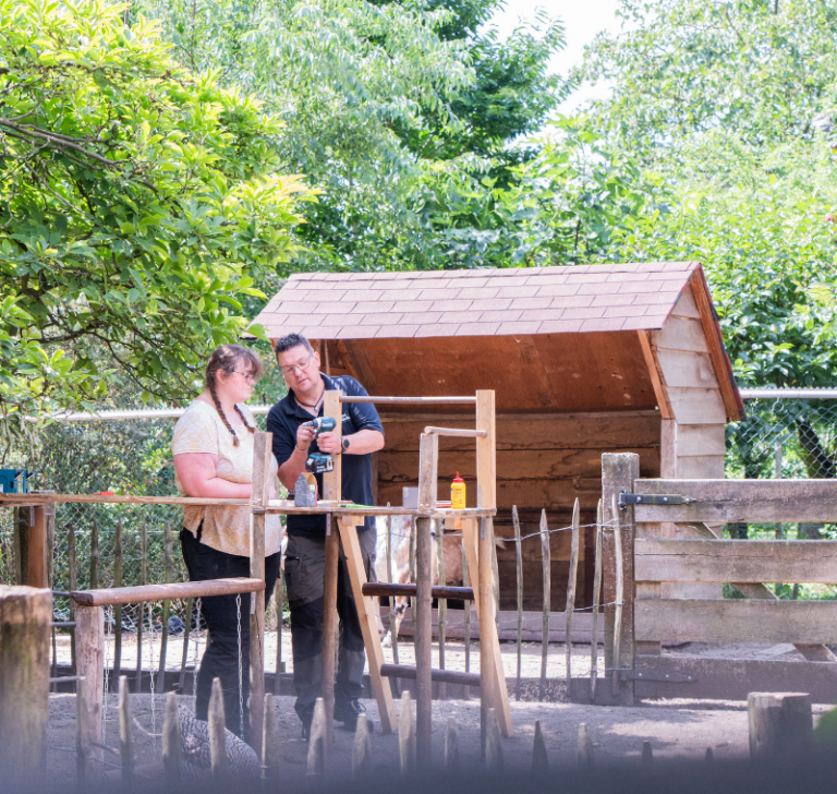 Onderwijs in de buitenlucht