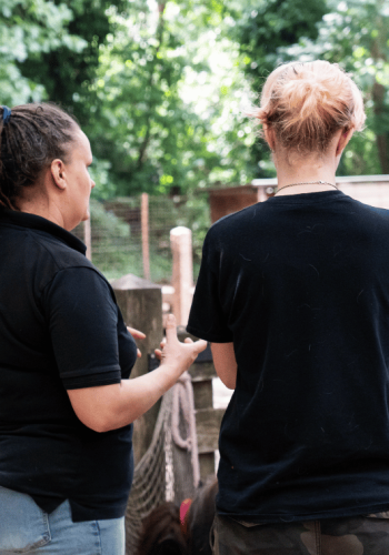 Onderwijs in de buitenlucht