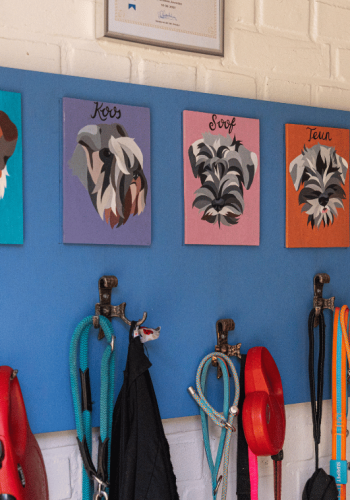 Orde bij de hondenriemen